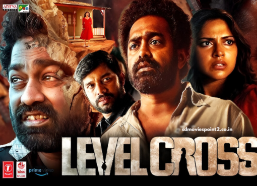 Level Cross