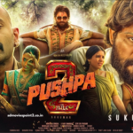 Pushpa 2 - The Rule